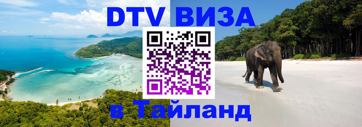 Оформление DTV визы под ключ: стоимость и тарифы, только загранпаспорт - 